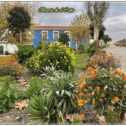 Garrovillas - Barrio de el Caño (8)